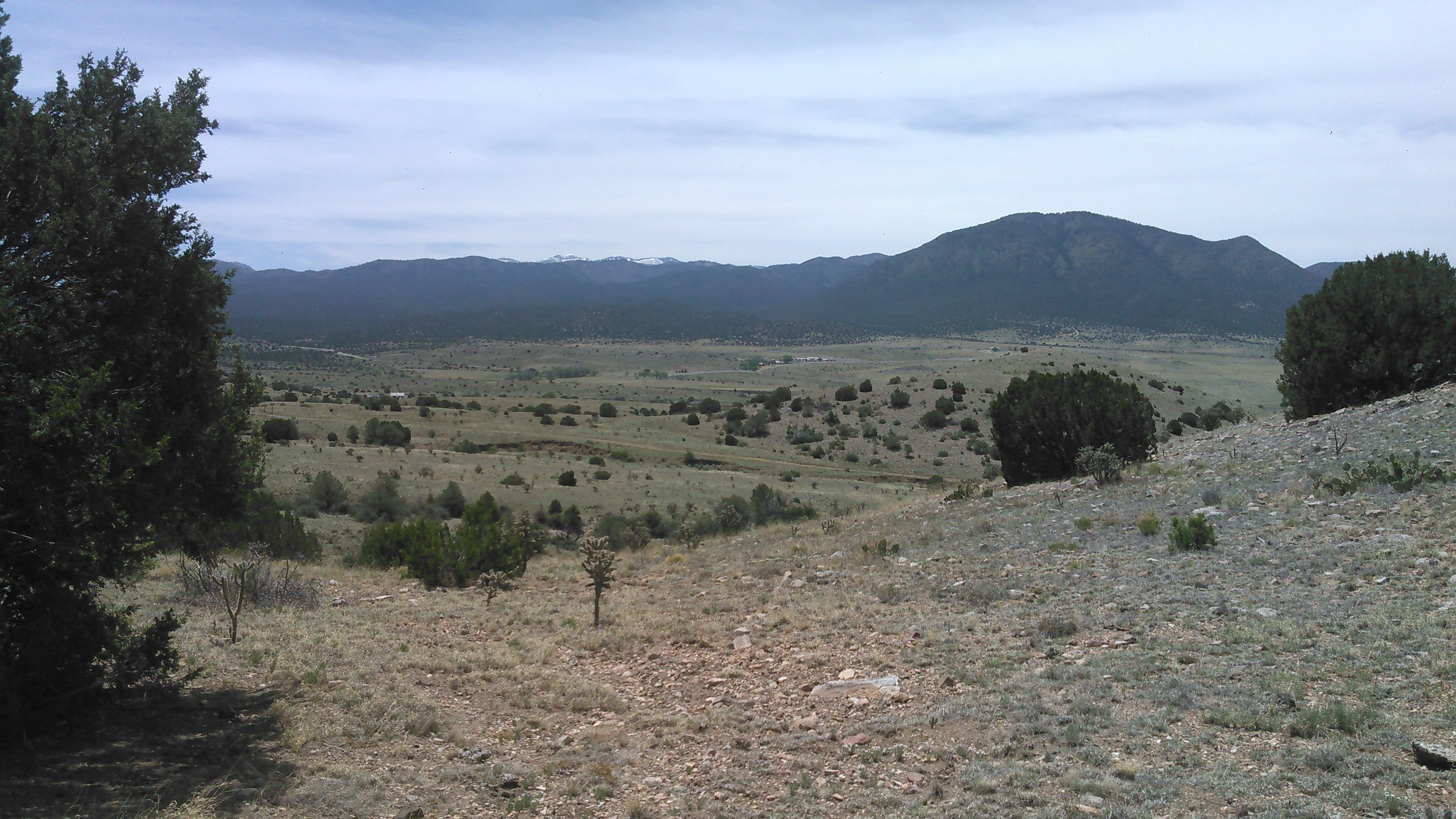 Crest of hill Nogal House